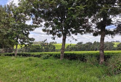 Land at Tigoni