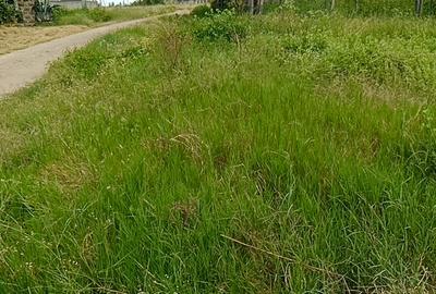 0.215 ac Residential Land at Chuna - 2