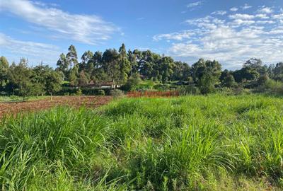 6,000 m² Land in Limuru - 3