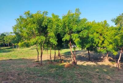 Land in Mtwapa - 4