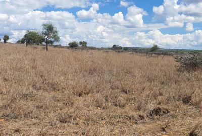 10 ac Land at Jisaidie - 4