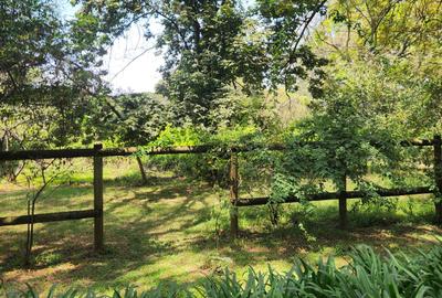 1 ac Land in Karen - 3