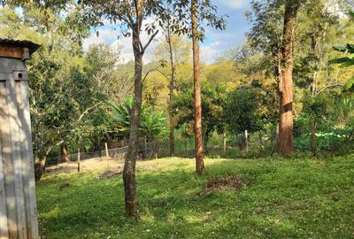 Land in Karen - 3