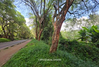 2.3 ac Land in Kitisuru - 4