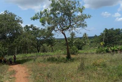 11 ac Residential Land at Ramisi