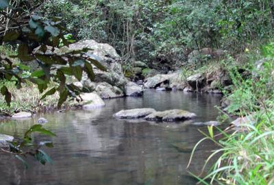 Land in Naivasha - 3
