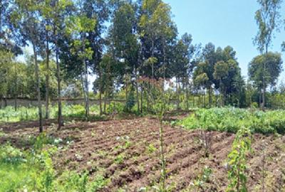 5 ac Land in Naivasha - 3
