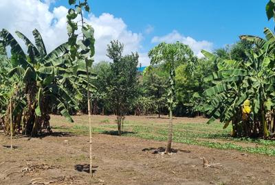 0.202 ha Land at Mtwapa - 4