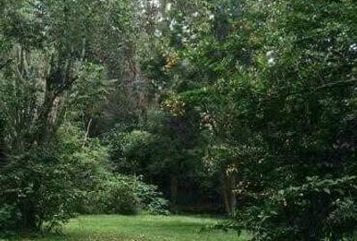Land at Windy Ridge - 2