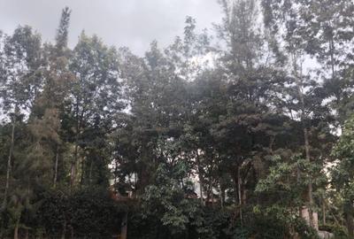 0.5 ac Land at Ololua - 2