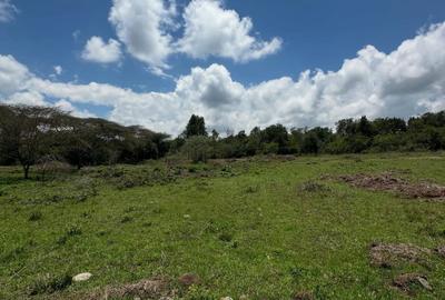 Land in Karen