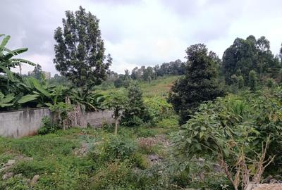 Land in Ruaka - 2