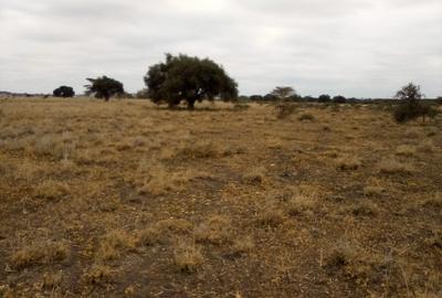 30 ac Land at Off Namanga Rd - 2