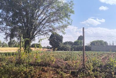Land at Muhuri Road - 4