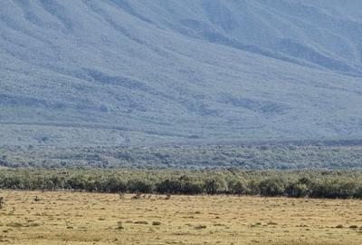 1 ac Land in Naivasha