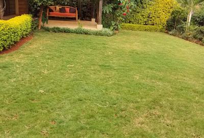 4 Bed Townhouse with En Suite at Close To Isk - 3