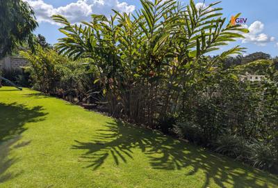 Furnished 2 Bed Apartment with En Suite in Kitisuru - 2