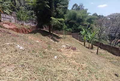 0.8 ac Land at Kitisuru - 3