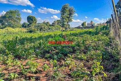 0.05 ha Commercial Land at Sigona - 3