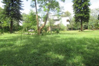 Residential Land at Koitobos Rd