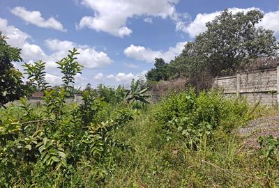 Land at Runda - 3