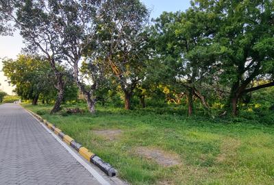 500 m² Land at Serena - 4