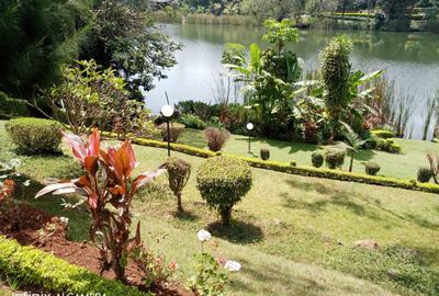 5 Bed House with En Suite at Nyari Road - 2
