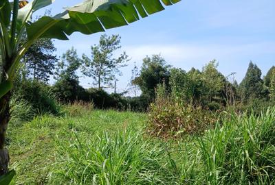 3 ac Land in Kikuyu Town - 3