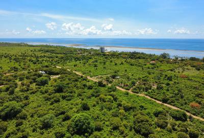 10 ac Land in Vipingo - 4