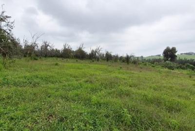 3 ac Land at Nazareth Road - 4