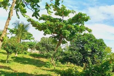 Land at Vipingo