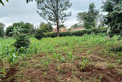 Land at Mimosa Road