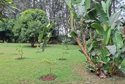 3 Bed Townhouse with En Suite at Close To Braeburn School - 4