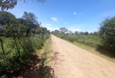 5 ac Residential Land at Nanyuki - 2