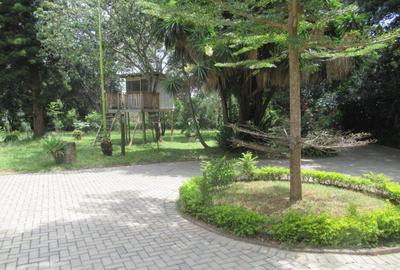Residential Land at Koitobos Rd - 3