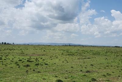 8 ac Residential Land at Nanyuki