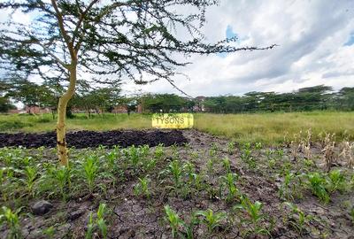 5 ac Commercial Land in South B - 4