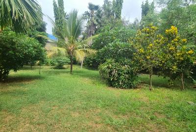 0.7299 ha Commercial Property with Backup Generator at Mtwapa - 4