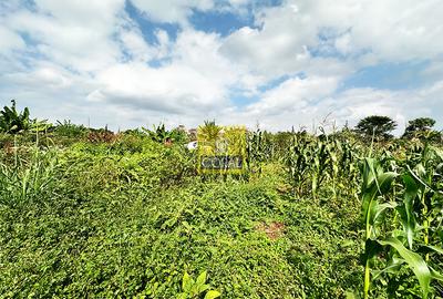Land in Ruiru - 2