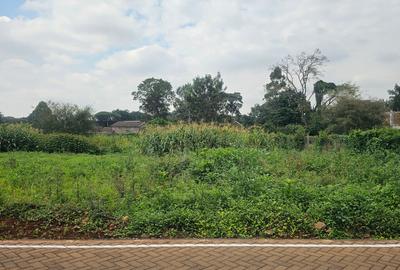 0.365 ac Land at Mushroom Road - 3