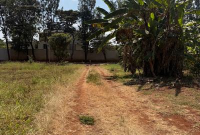 0.1 ac Land at Runda - 4