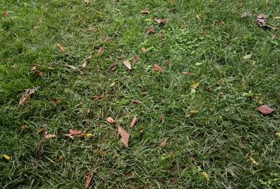 Residential Land at Thika Superhighway - 2
