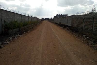 0.25 ac Land at Katani - 4