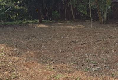 1.2 ac Land at Runda