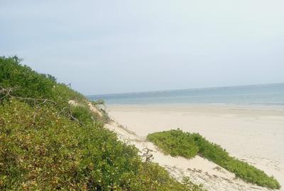 Land in Malindi