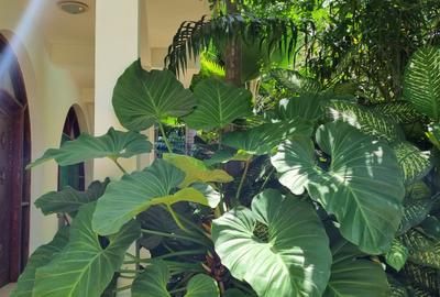 Serviced 3 Bed Apartment with En Suite at La-Marina Mtwapa - 3