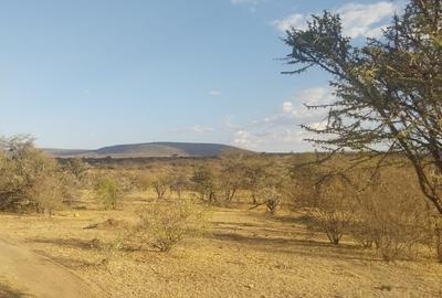 31 ac Land at Sekenani - 3