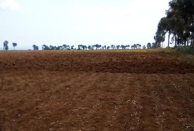 Land at Timau - 2