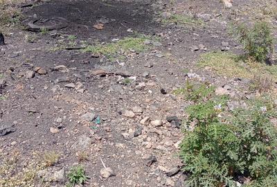 0.1012 ha Residential Land in Syokimau