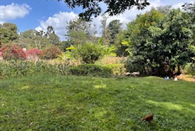 0.5 ac Residential Land in Kitisuru